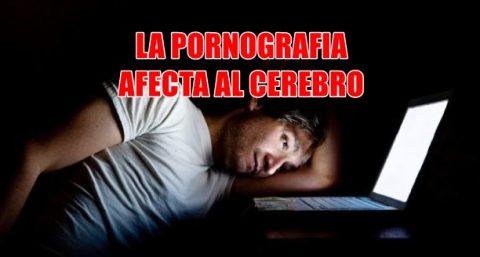 La Pornografia Afecta Al Cerebro