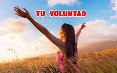 TU VOLUNTAD